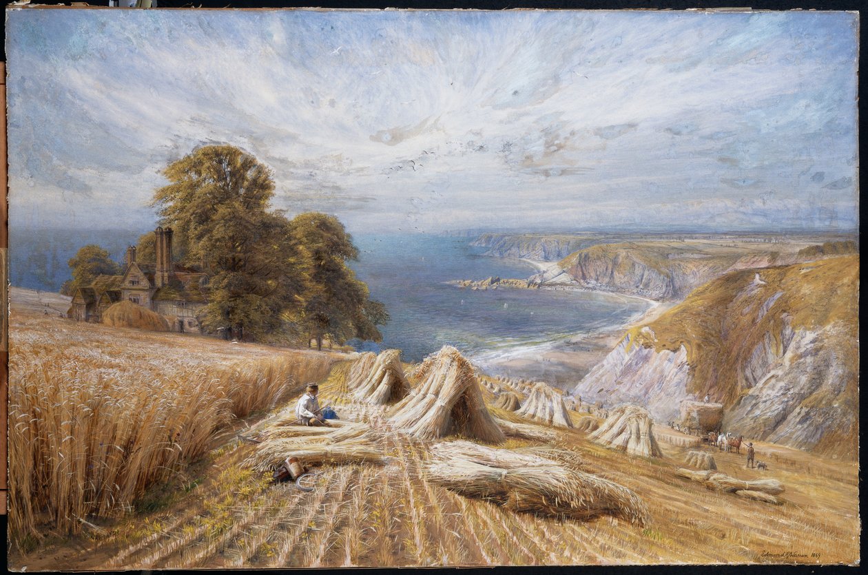 Cosecha en la Costa Sur, 1869 de Edmund George Warren