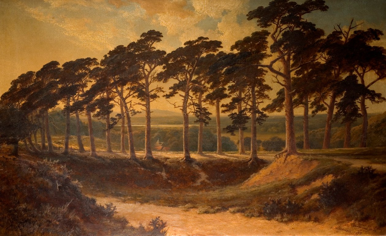 Harrow desde el Primero, Hampstead Heath, 1875 de Edmund John Niemann