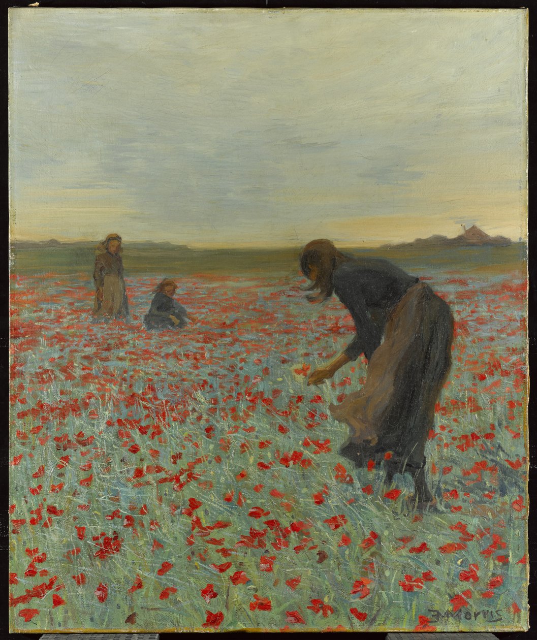 Niñas en un campo de amapolas de Edmund Montague Morris