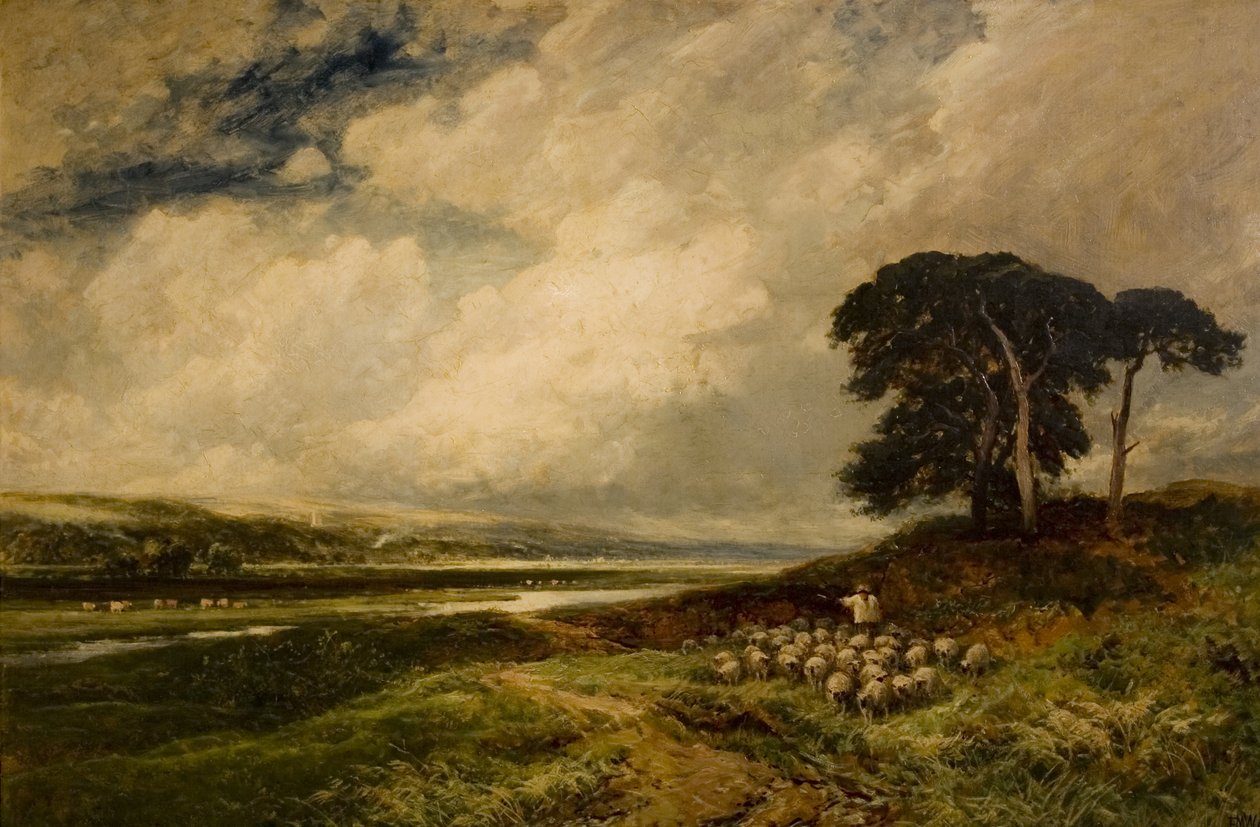 Paisaje con ovejas, 1899 de Edmund Morison Wimperis