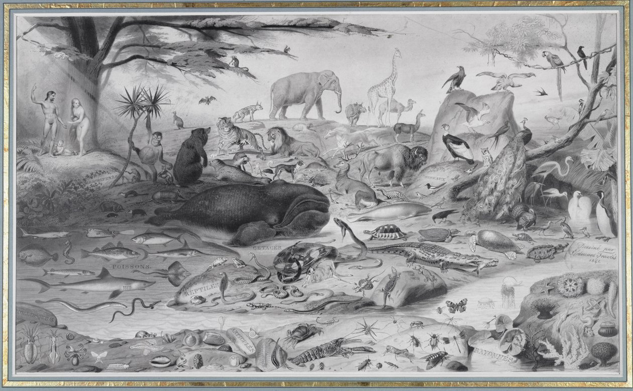 Adán y Eva y los Animales, 1841 de Edouard Travies
