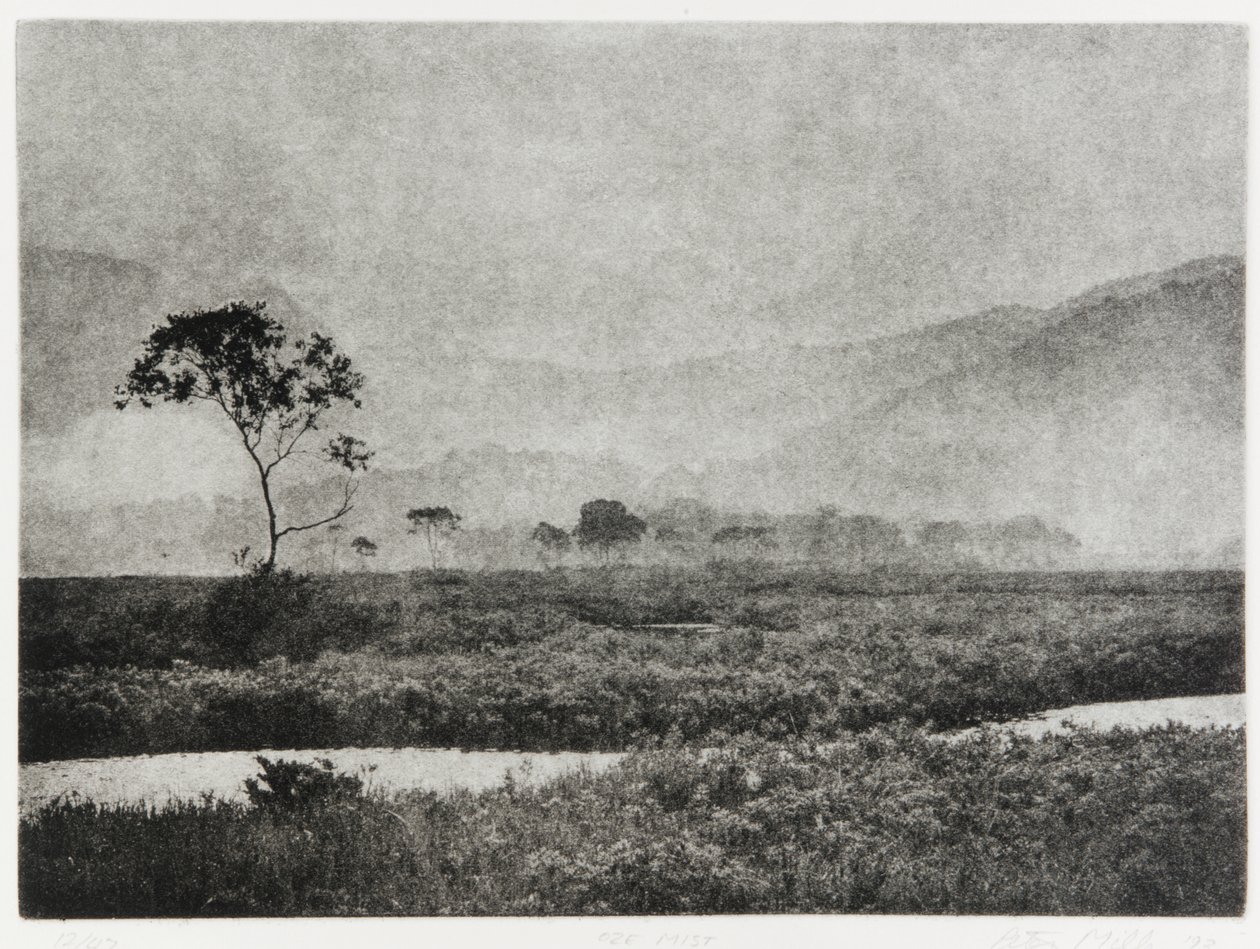 Niebla de Oze, 1993 de Edouard Cremieux
