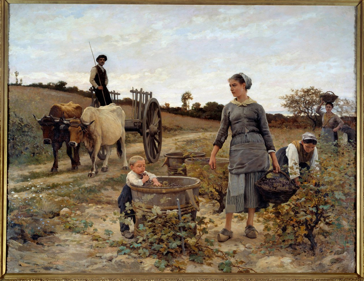 Rincón de viñedo en Languedoc de Edouard Debat Ponsan