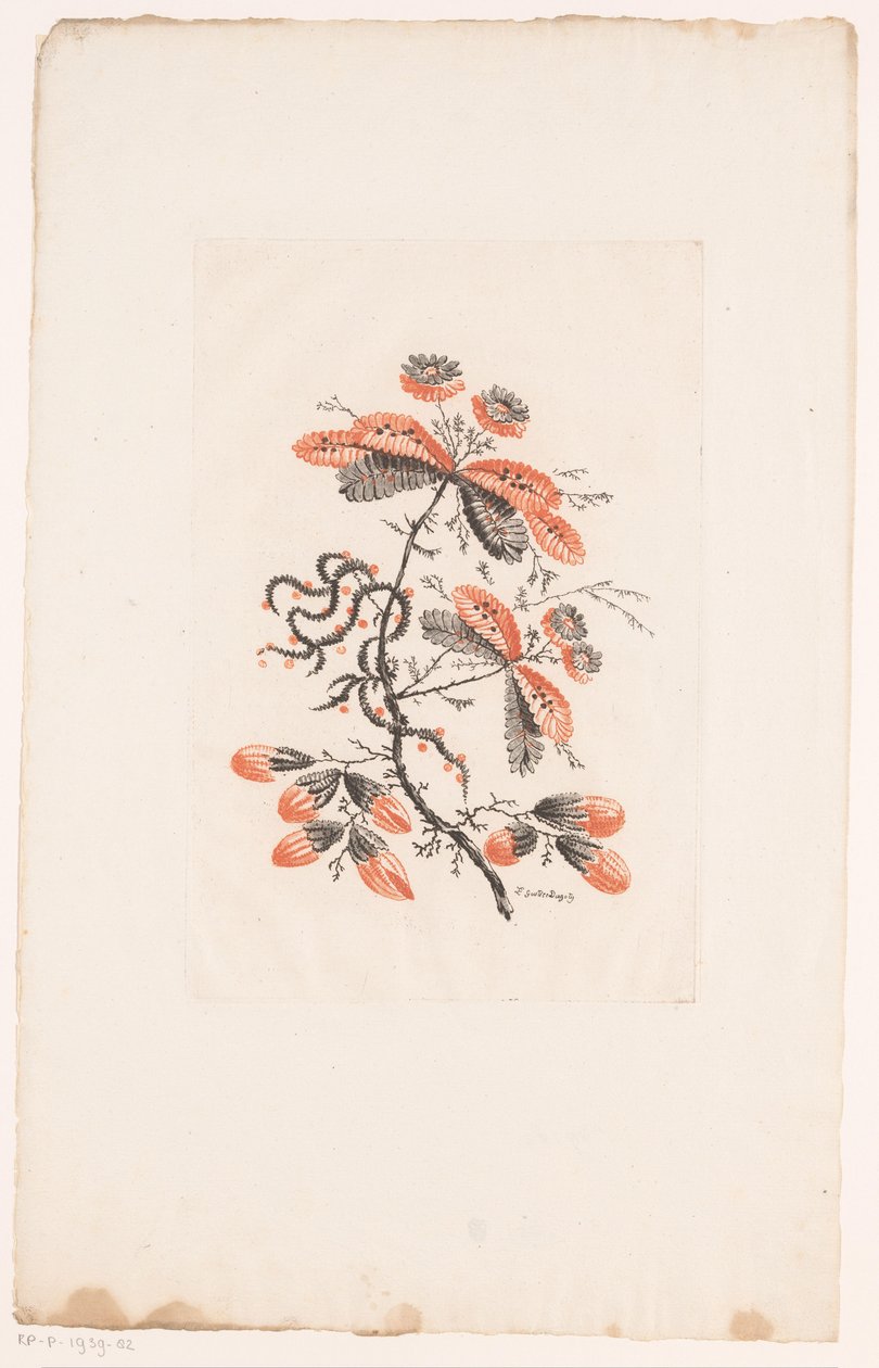 Flores y capullos
Fleurs Idéalle (título de la serie) de Edouard Gautier Dagoty