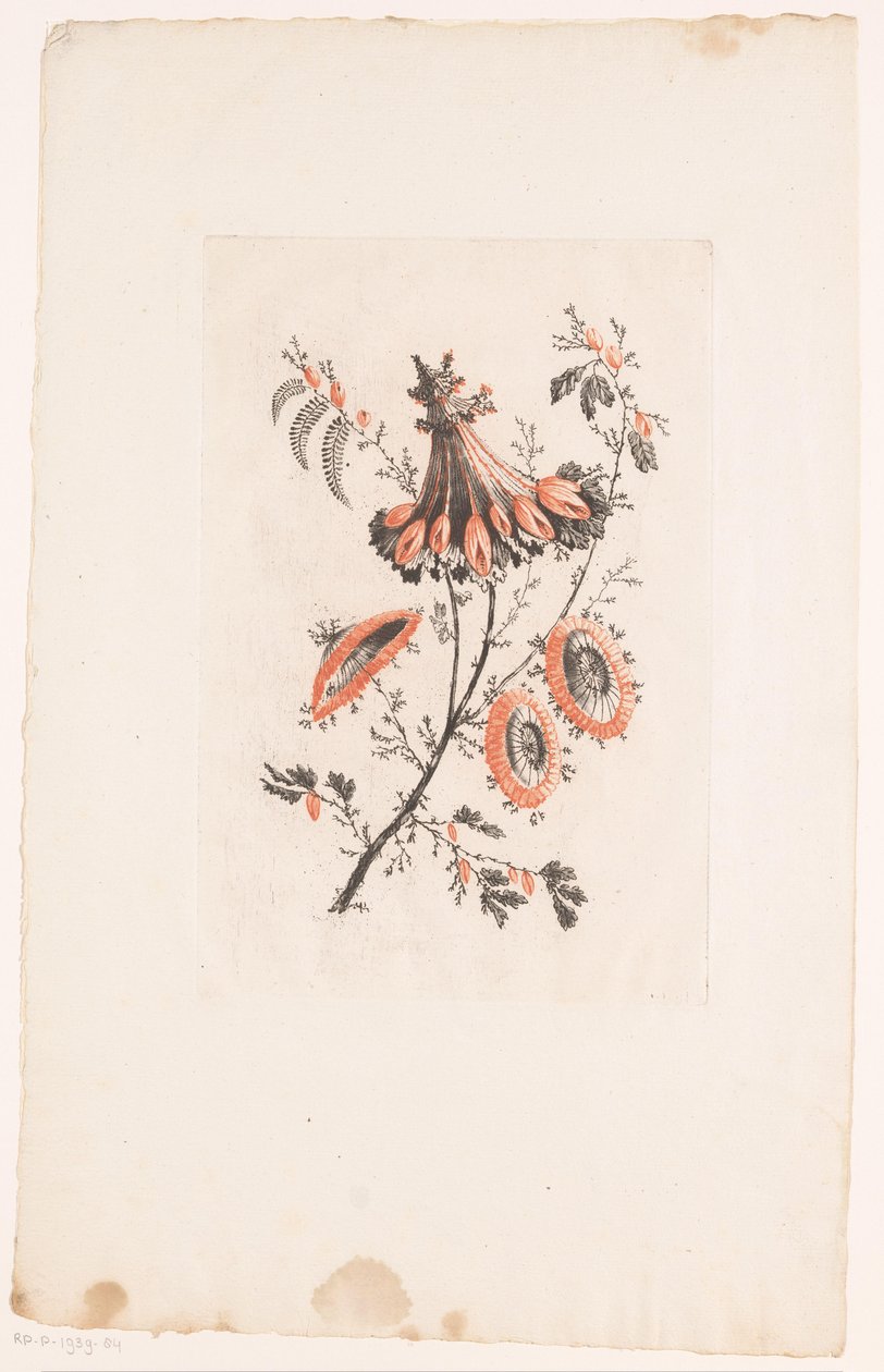 Flores del parasol
Fleurs Idéalle (título de la serie) de Edouard Gautier Dagoty