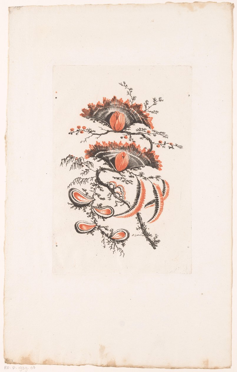 Flores en forma de abanico
Fleurs Idéalle (título de la serie) de Edouard Gautier Dagoty