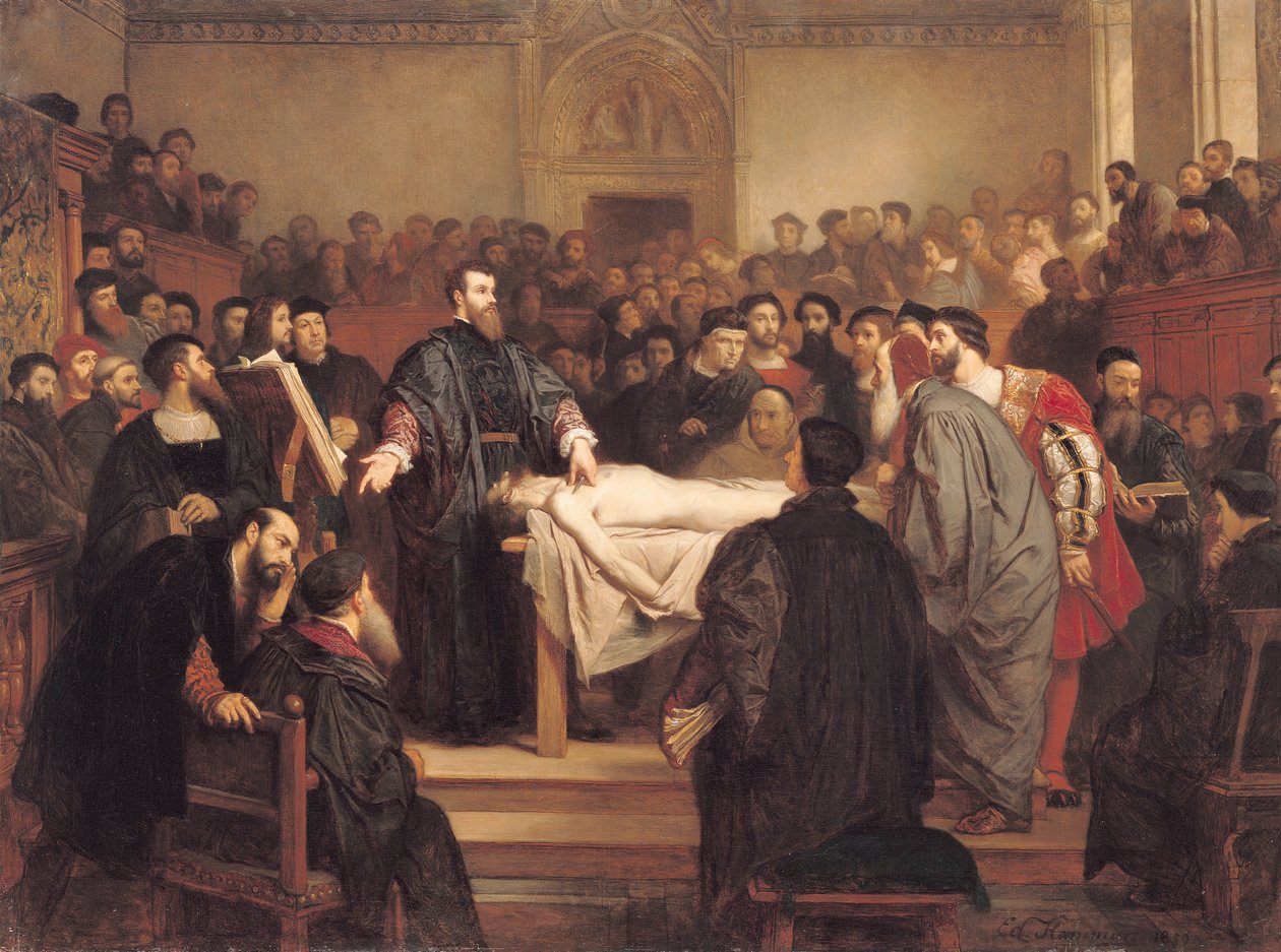 Andreas Vesalius (1514-64) en Padua, 1859 de Edouard Jean Conrad Hamman
