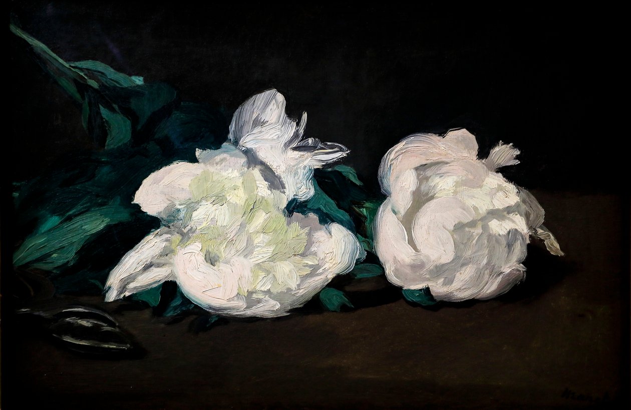 Rama de peonías blancas y tijeras de podar de Édouard Manet