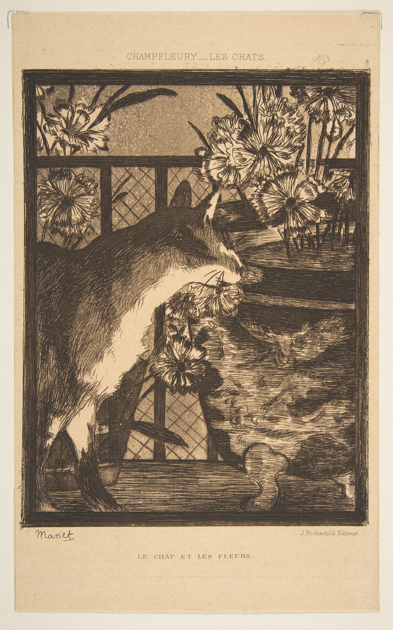 Gato y flores. Ilustración para Los Gatos de Champfleury, 1869 de Édouard Manet