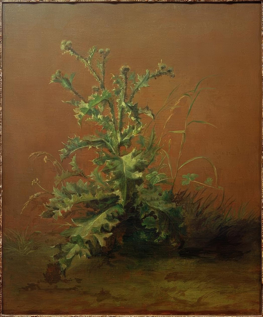El cardo de Édouard Manet
