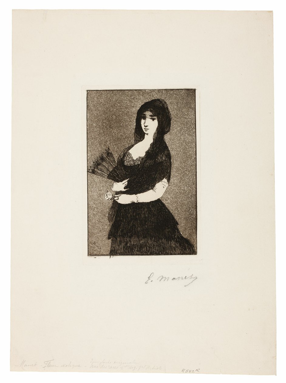 Flor exótica (Mujer con mantilla) de Édouard Manet