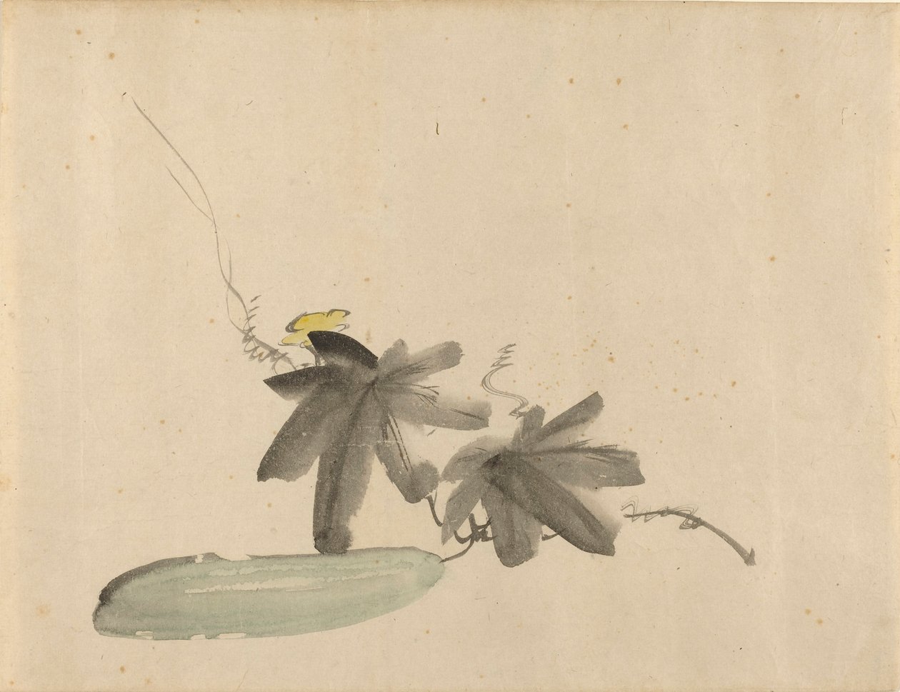 Manet - Pepino con hojas, c. 1880 de Édouard Manet