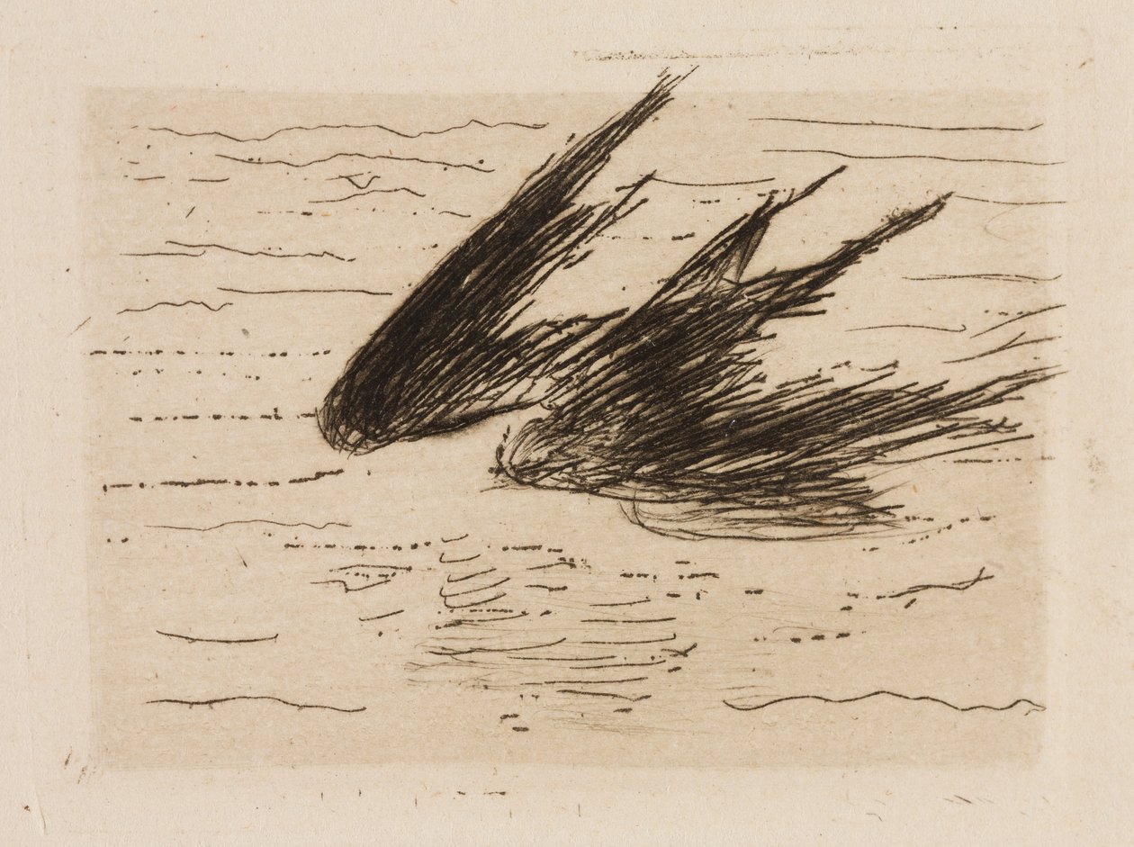 Golondrinas, plato 8 de Le Fleuve de Édouard Manet