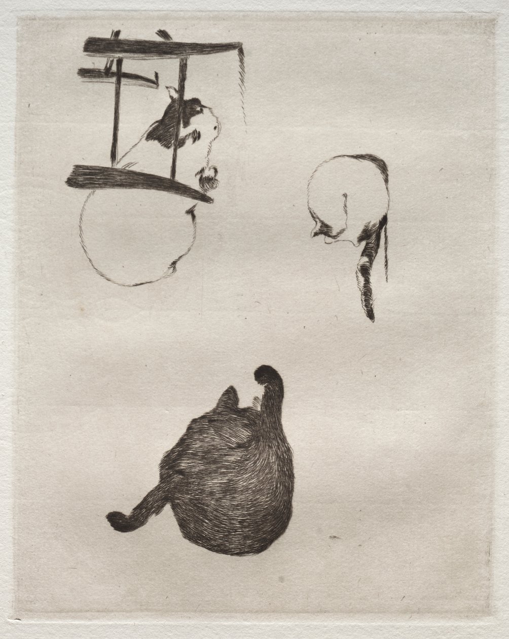 Los gatos de Édouard Manet