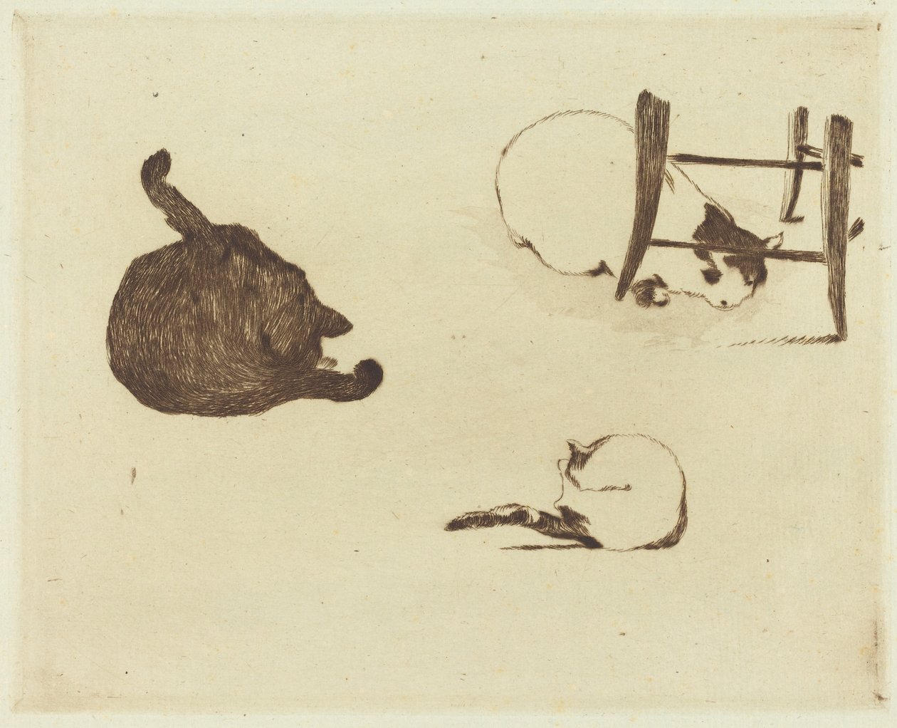 Los gatos, 1869 de Édouard Manet