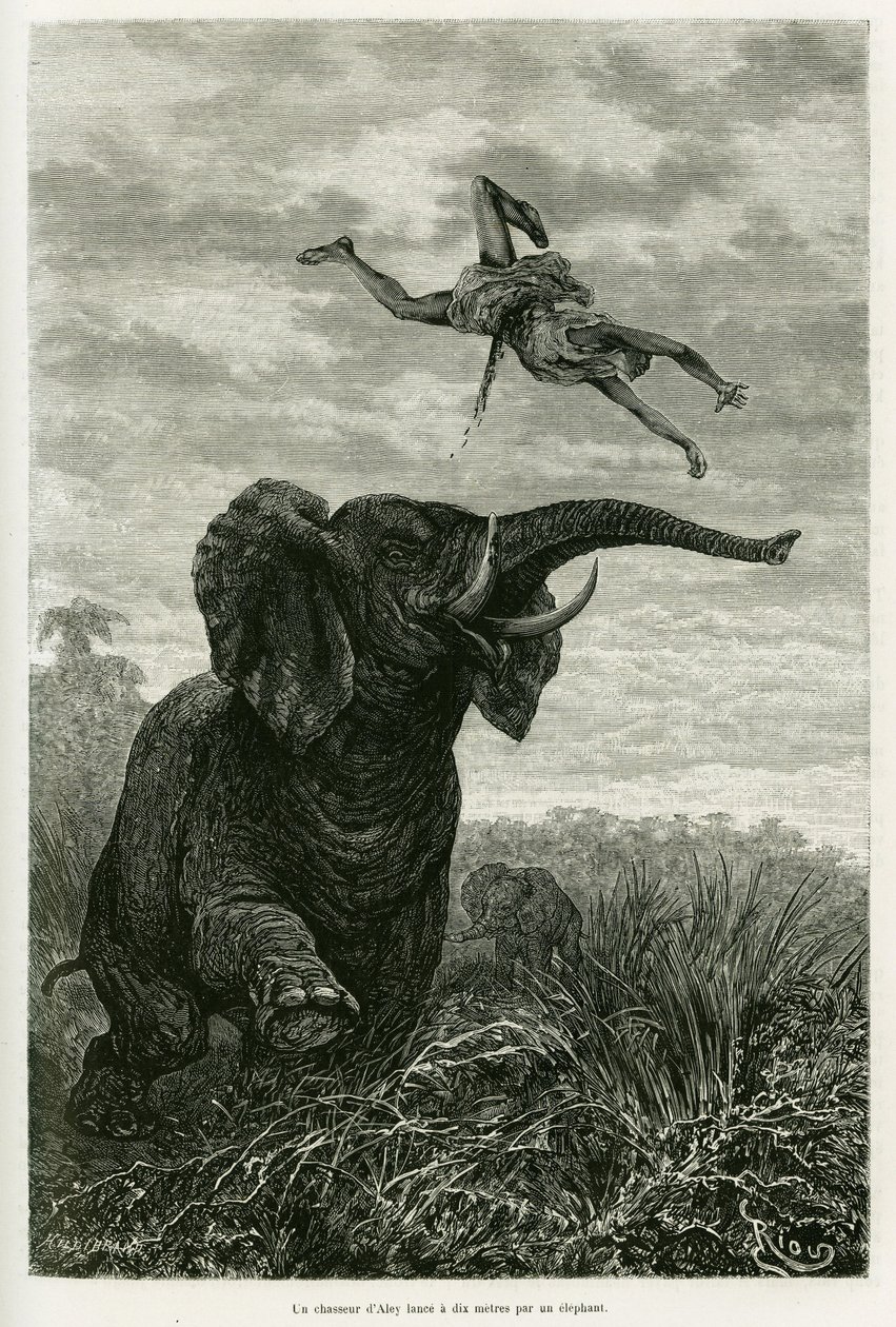 El cazador de Aley lanza una milla desde un elefante. Ilustración de la historia Les lacs de l