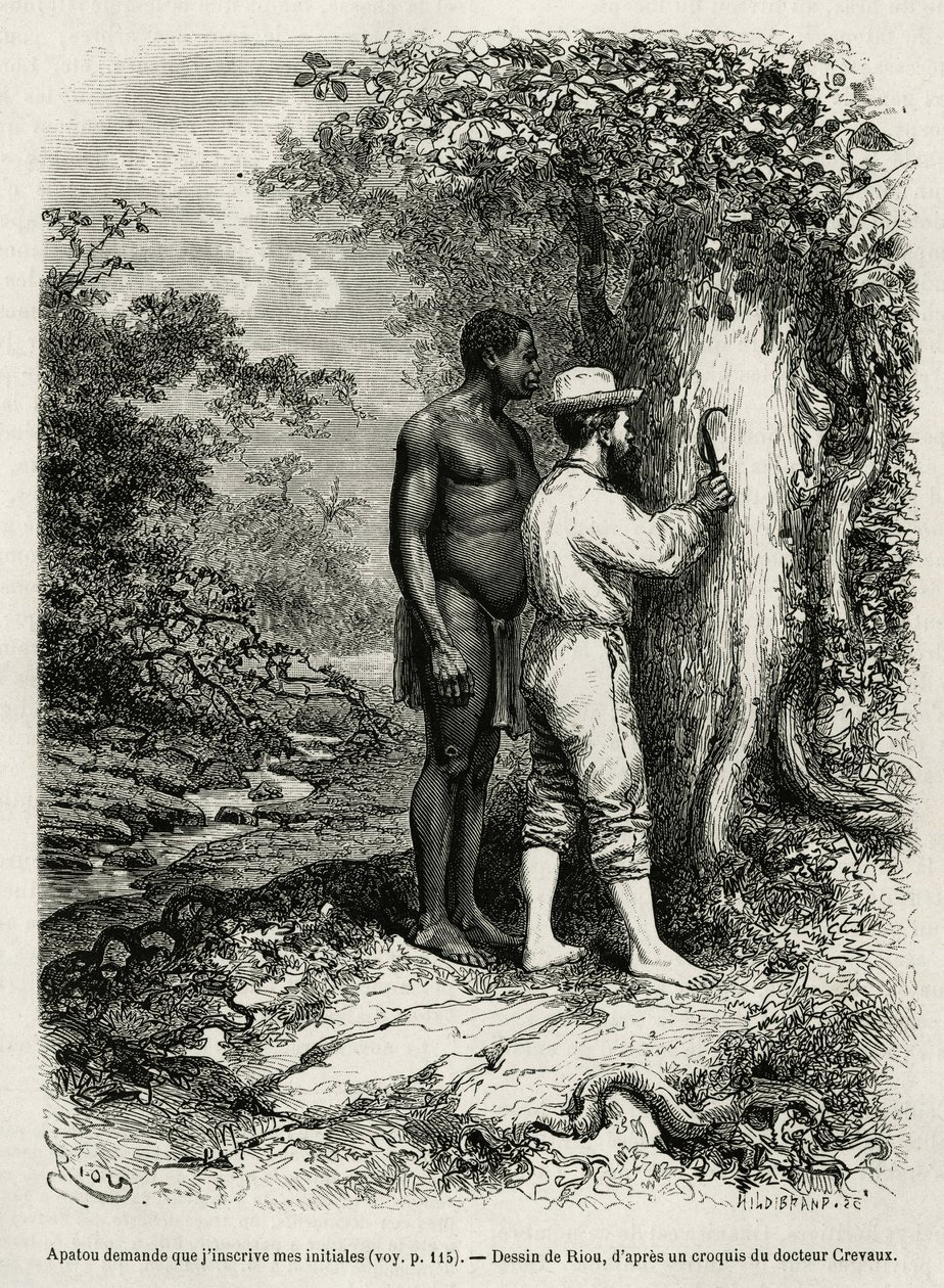 Apatou, guía y compañero de viaje pide al autor explorador que grabe sus iniciales en la corteza de un árbol. Grabado por Riou, ilustración de la historia de Cayena a los Andes, por Jules Crevaux, médico de la marina francesa, en 1878-1879, publicado en el de Edouard Riou