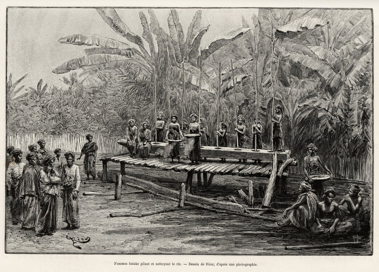 Mujeres Batak, grupo étnico del norte de Sumatra, moliendo y limpiando arroz. Grabado de Riou para ilustrar la historia "un año en Malasia", de Jules Claine (1856-1939) de Edouard Riou