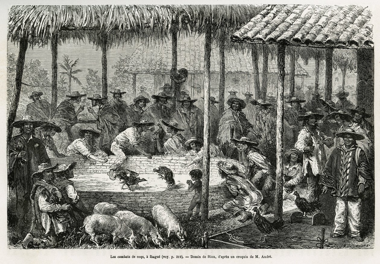 Pelea de gallos y animación callejera en Ibague (Colombia), ilustración de la historia de América Equinoccial (Colombia, Ecuador, Perú), en 1875-1876, por Ed. André, misión de viajero encargada por el gobierno francés. Grabado en Le tour du monde de Edouard Riou