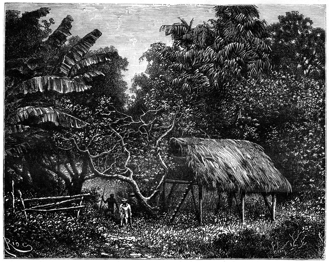 Guyana, América del Sur de Edouard Riou