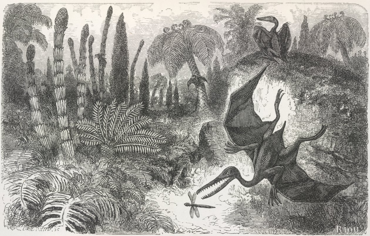 Paisaje del periodo Liasico". Ilustración de un pterodáctilo de Edouard Riou