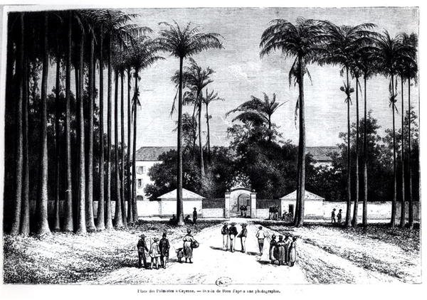 Place des Palmistes, Cayena, Guayana de Edouard Riou
