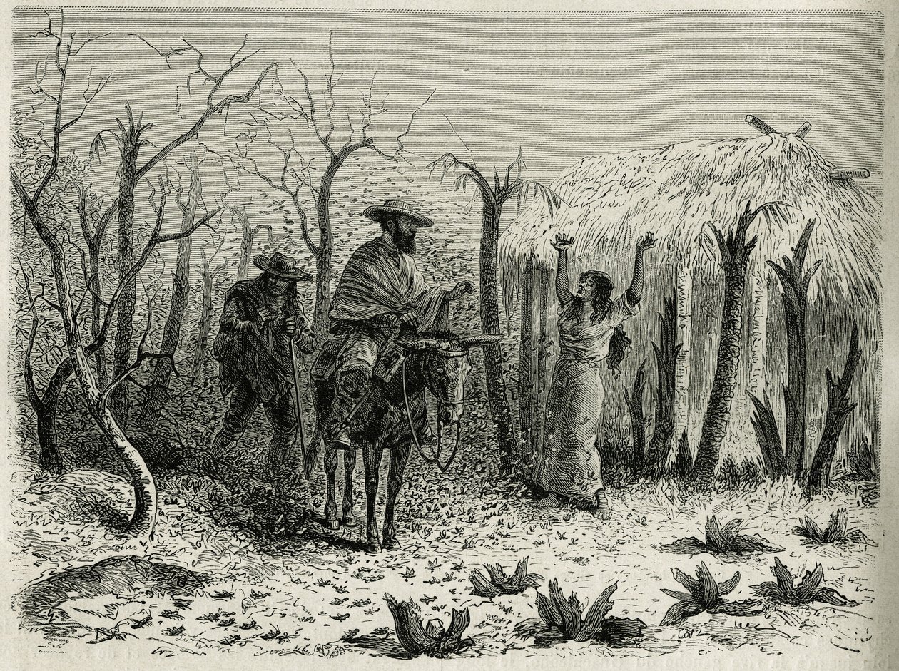 Las nubes de langostas del Valle del Alto Patía, con el narrador del viaje en su mula, grabado por Riou, ilustración de la historia L