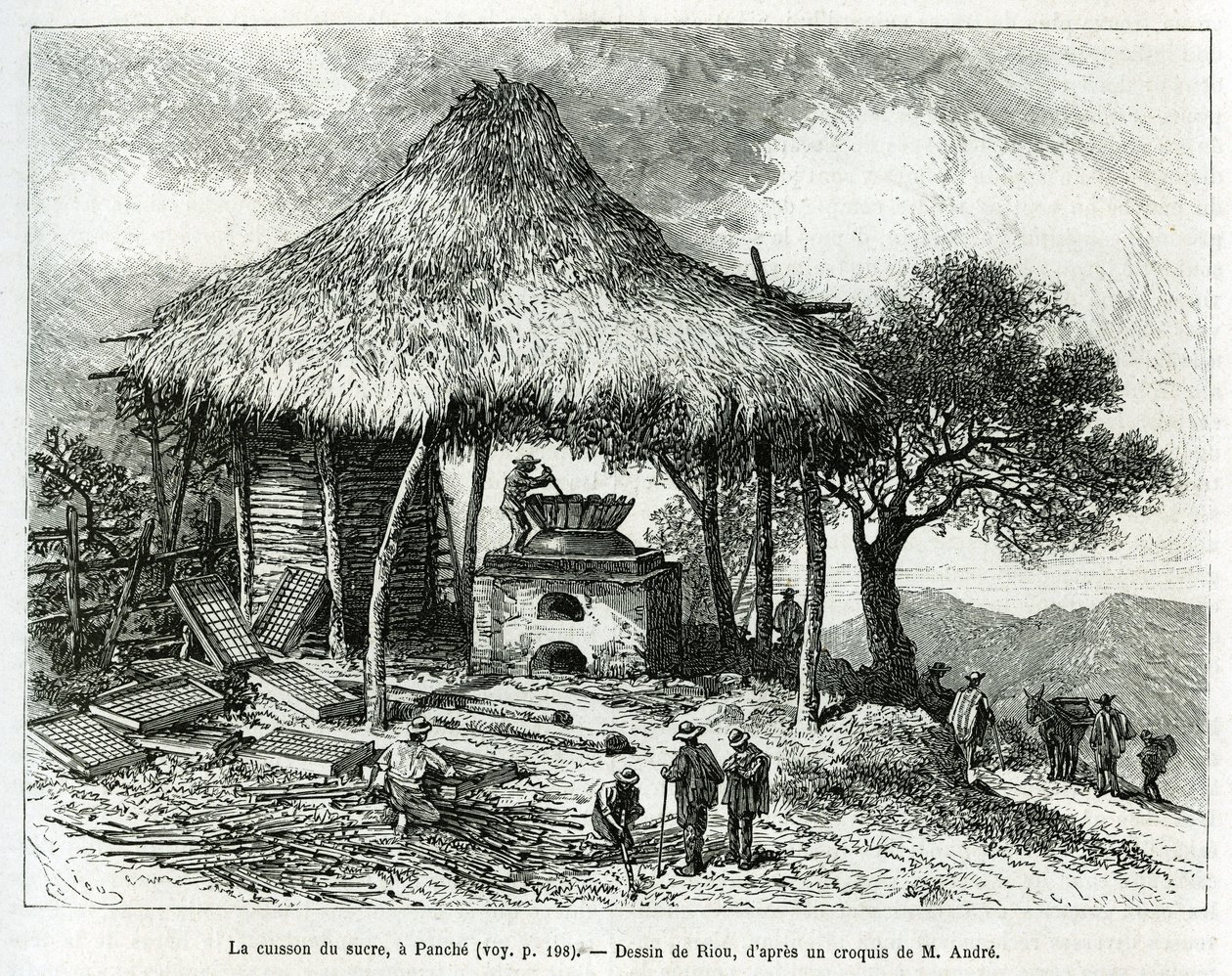 El horno de azúcar, en Panche (Colombia), dibujo de Riou, para ilustrar la historia de América Equinoccial (Colombia, Ecuador, Perú), en 1875-1876, por Ed. André, misión de viaje encargada por el gobierno francés. Grabado en Le tour du monde de Edouard Riou