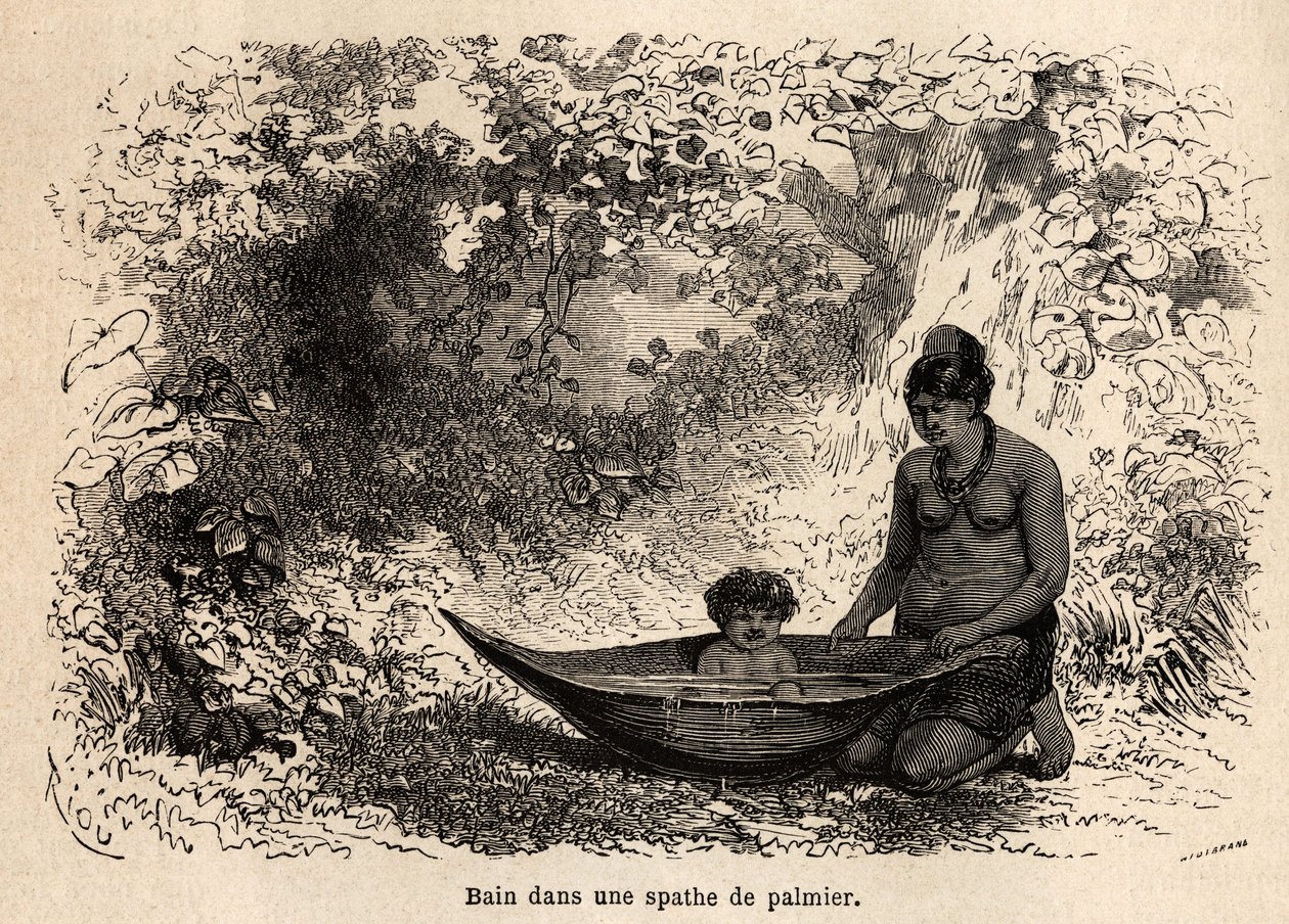El baño del niño en una hoja de palma de Edouard Riou