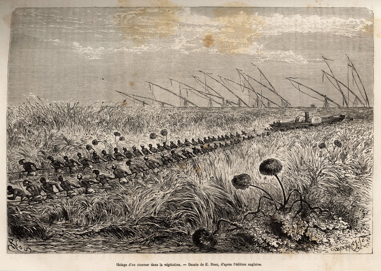 El remolque de un vapor a través de las balsas de vegetación que invaden el canal hueco para salir de un pantano, grabado después de un dibujo de E.Riou, ilustrando una expedición armada en África Central, para la supresión del comercio negro de Edouard Riou