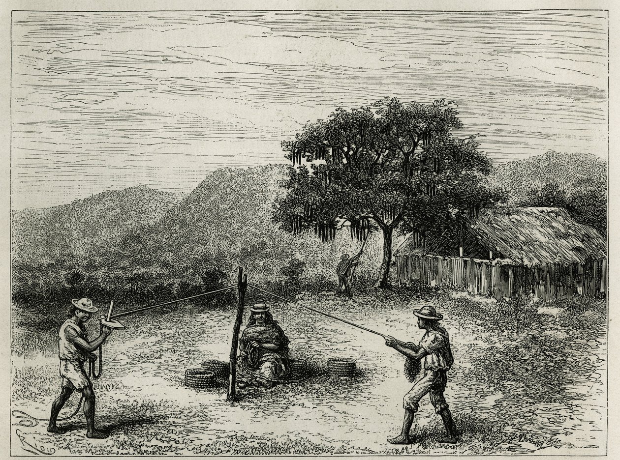 La fabricación de la cabuya, cuerda de Fourcroya, cerca de Cartago (Colombia), grabado de Riou, para ilustrar la historia de América Equinoccial por E.Andre, misión asignada por el gobierno francés, publicada en el tour du monde, bajo la dirección de E de Edouard Riou
