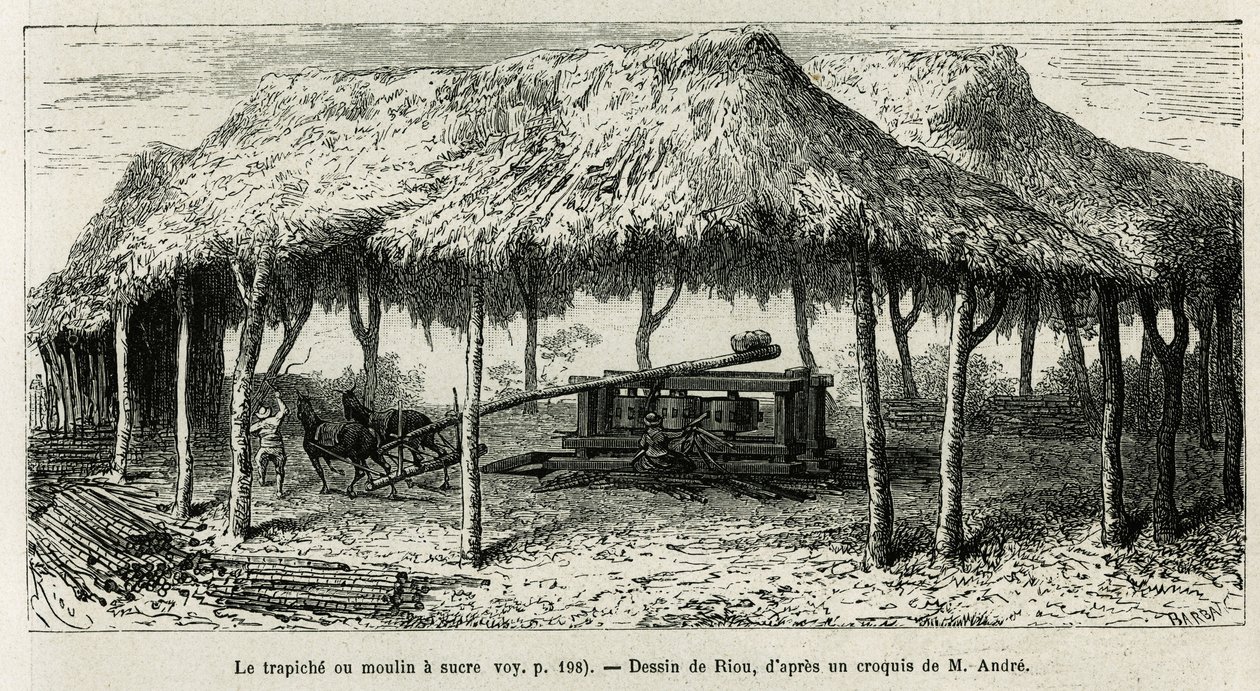 El trapiche, o molino de azúcar para moler las cañas en Panche (Colombia), ilustración de la historia de América equinoccial (Colombia, Ecuador, Perú), en 1875-1876, por Ed. Andre, viajero encargado de una misión por el gobierno francés. Grabado en Le tour de Edouard Riou