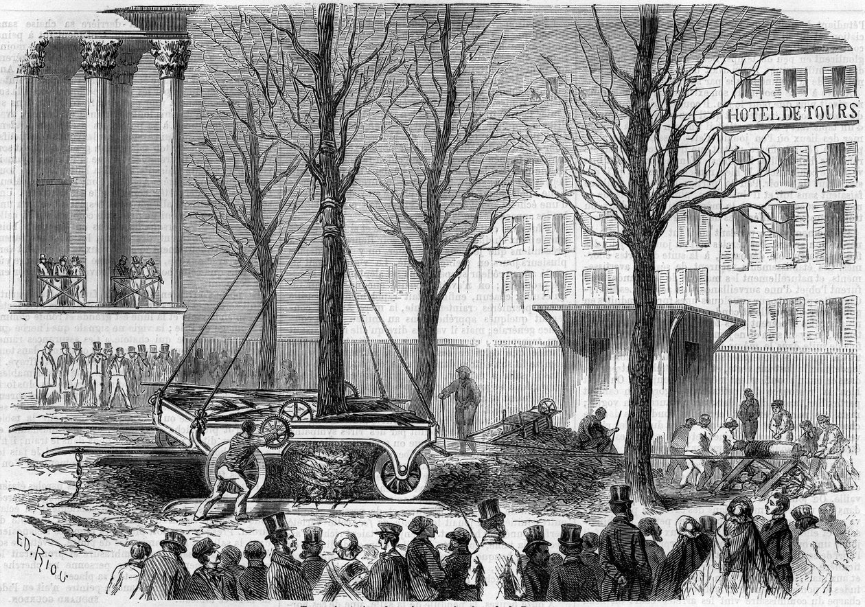 Trasplante de árboles en la Place de la Bourse en París durante el invierno de 1858. Grabado de Riou en "Le Monde Illustré" n°46 del 27 de febrero de 1858. de Edouard Riou