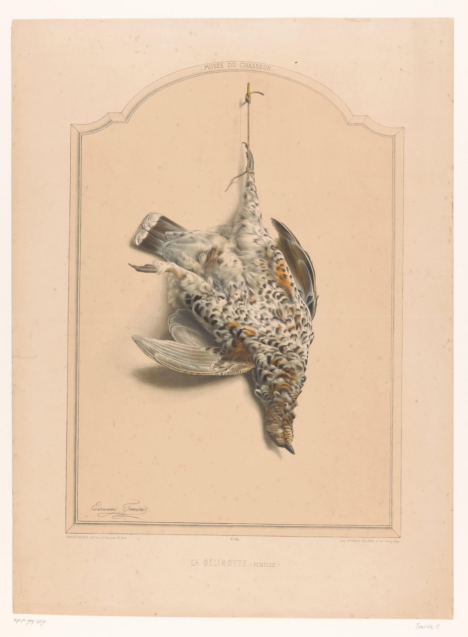 Aves de corral hembras muertas colgando de una pierna La gélinotte (hembra) (título sobre objeto) Museo del Cazador (título de la serie) Musée du chasseur (título de serie sobre objeto) de Edouard Travies