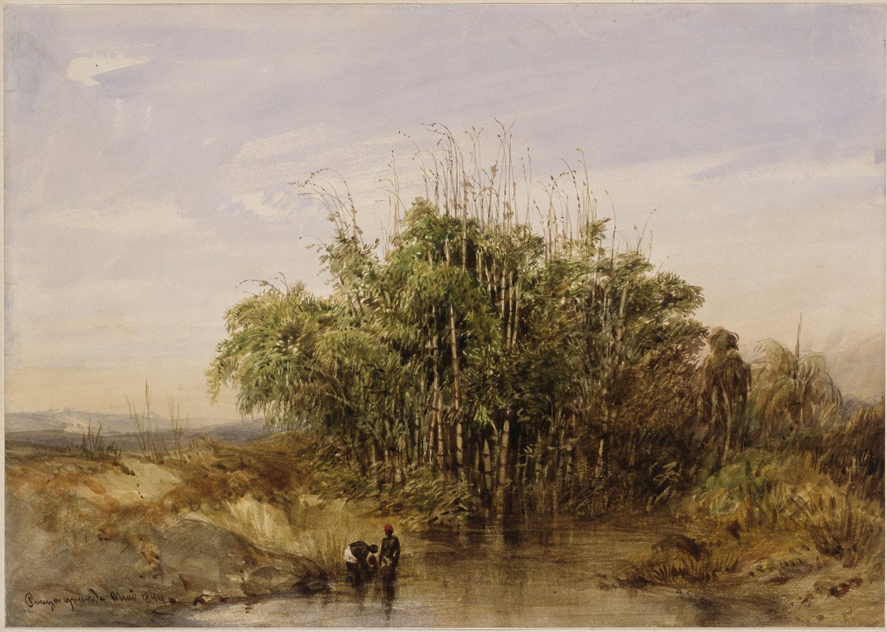 Matorrales de bambú junto al agua, con figuras humanas de fondo de Eduard Hildebrandt