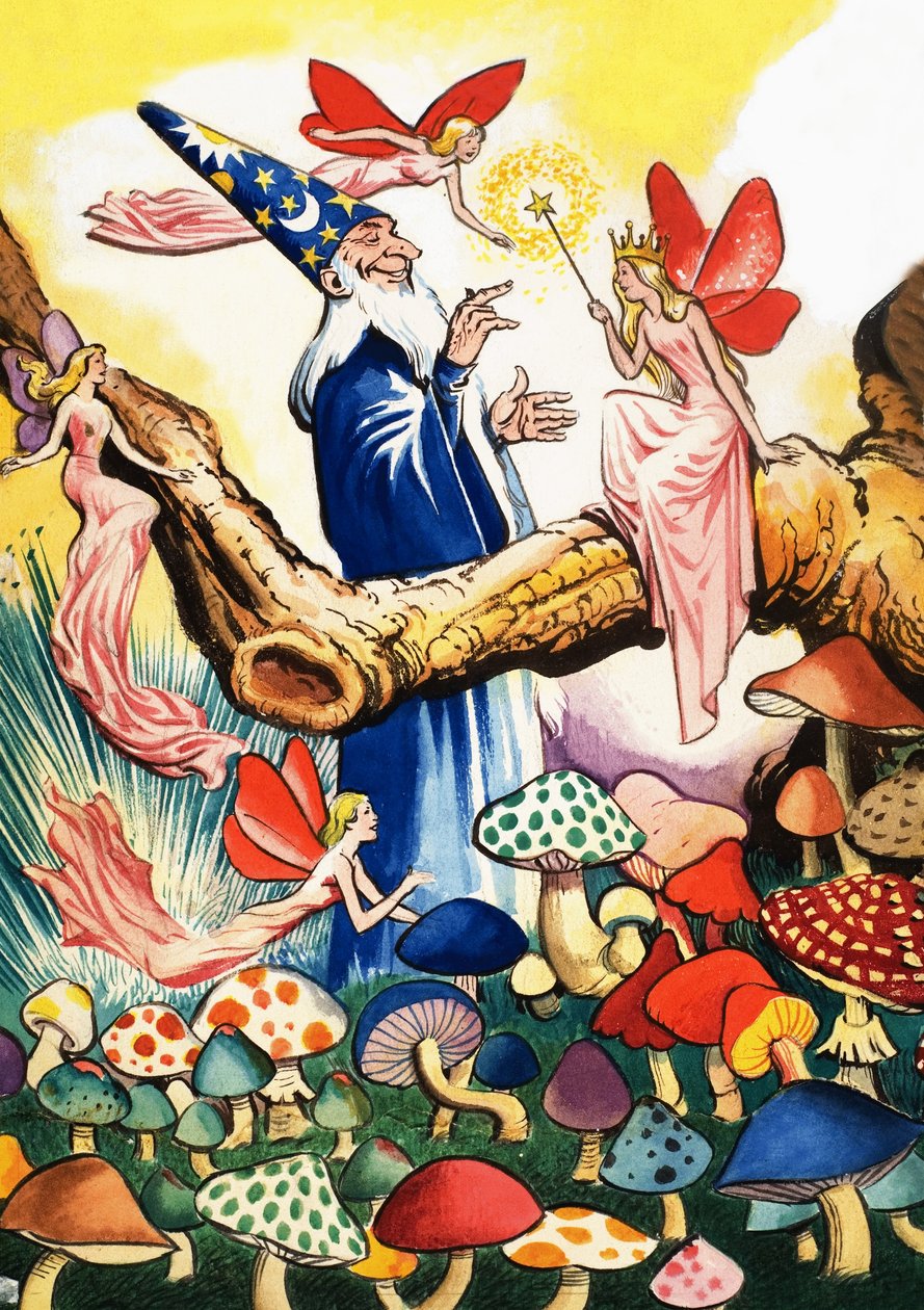 Mago en el bosque de setas de Eduardo Teixeira Coelho