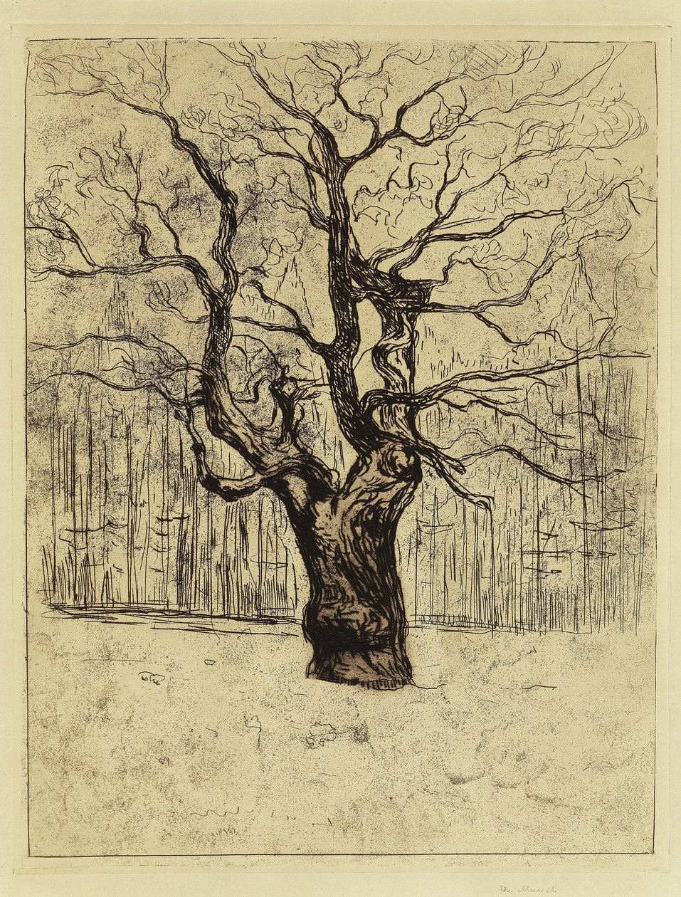 El roble de Edvard Munch