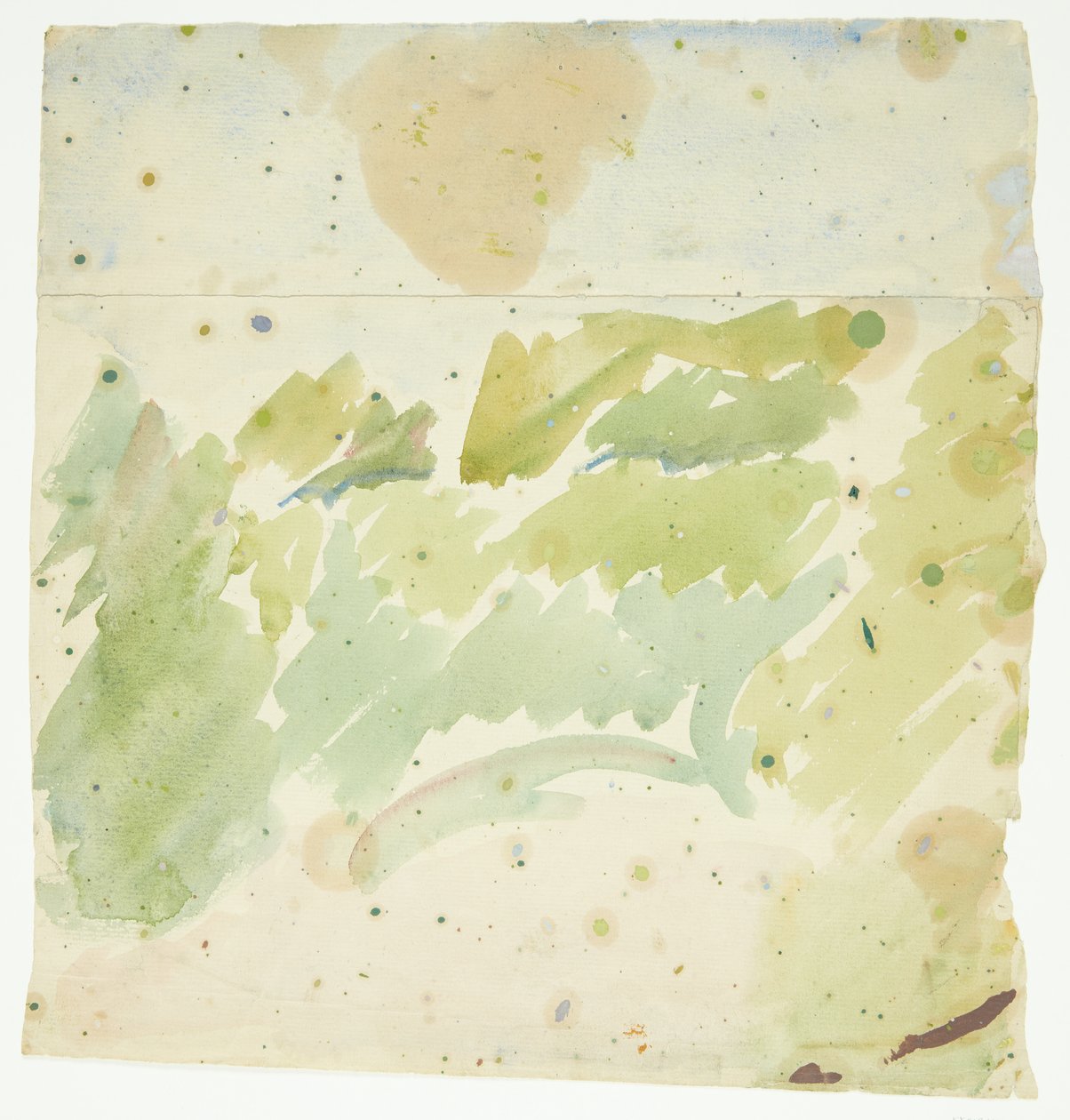 Estudio de paisaje de Edvard Weie