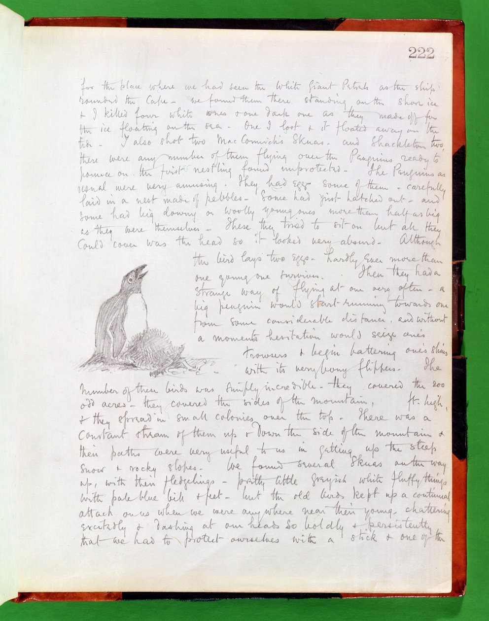 Entrada de diario del 9 de enero de 1902 de Edward Adrian Wilson