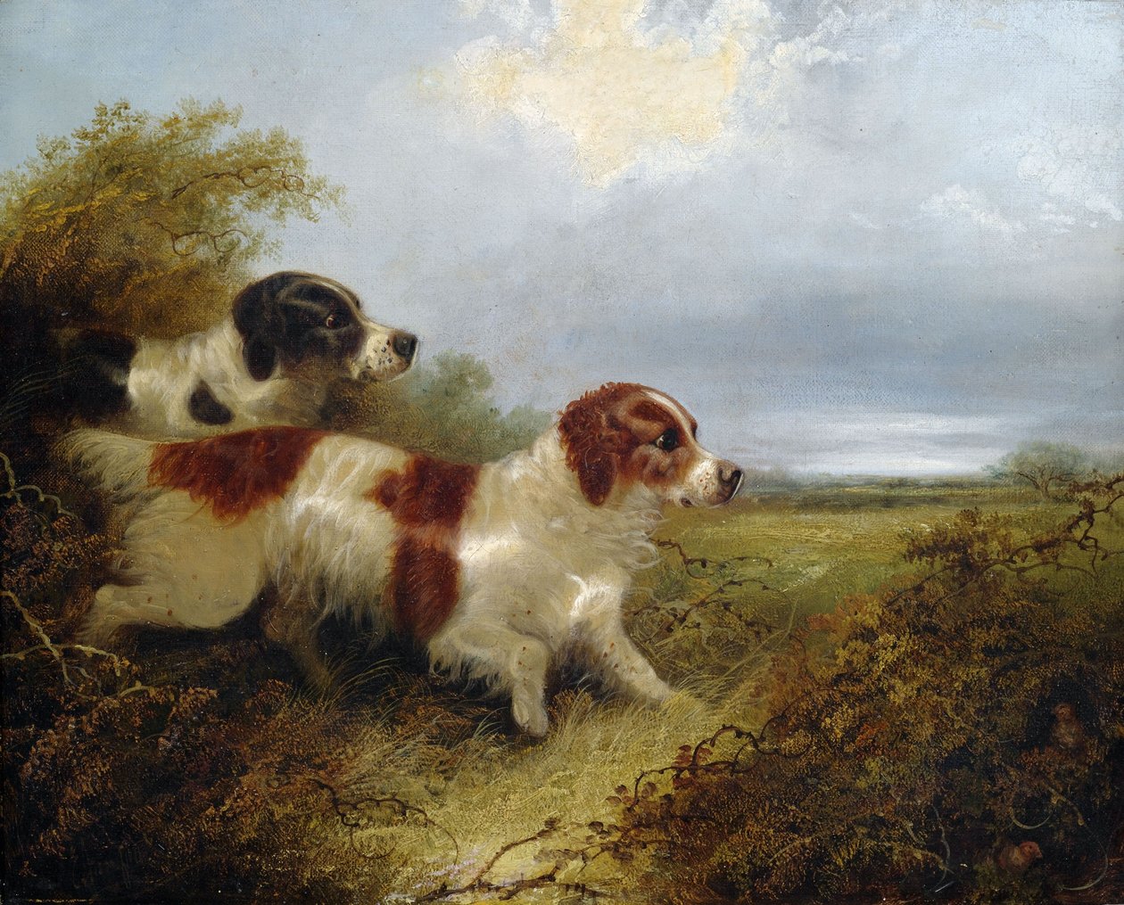Dos terriers de Edward Armfield