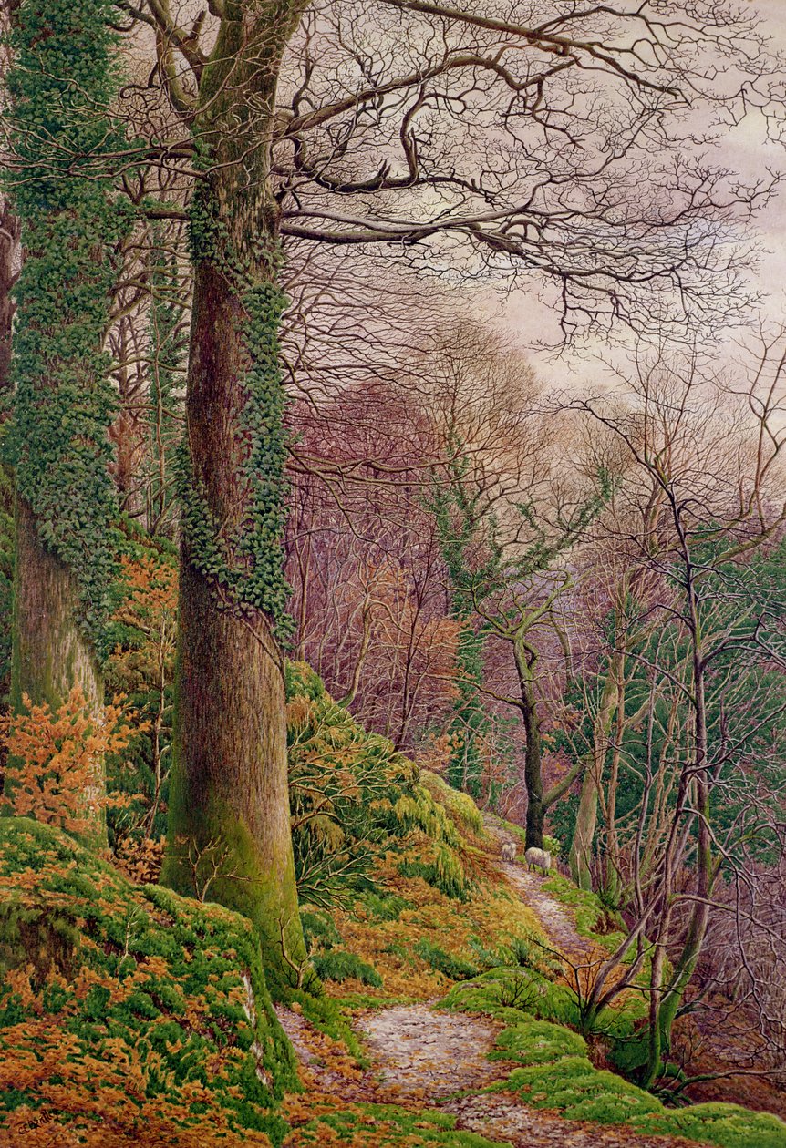 Un camino en el bosque de Edward Bentley