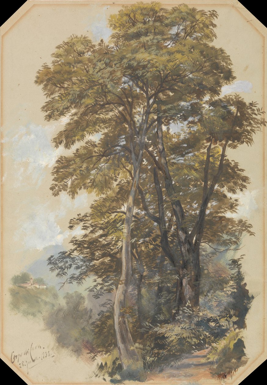 Corpo di Cava, 28 de junio de 1838 de Edward Lear