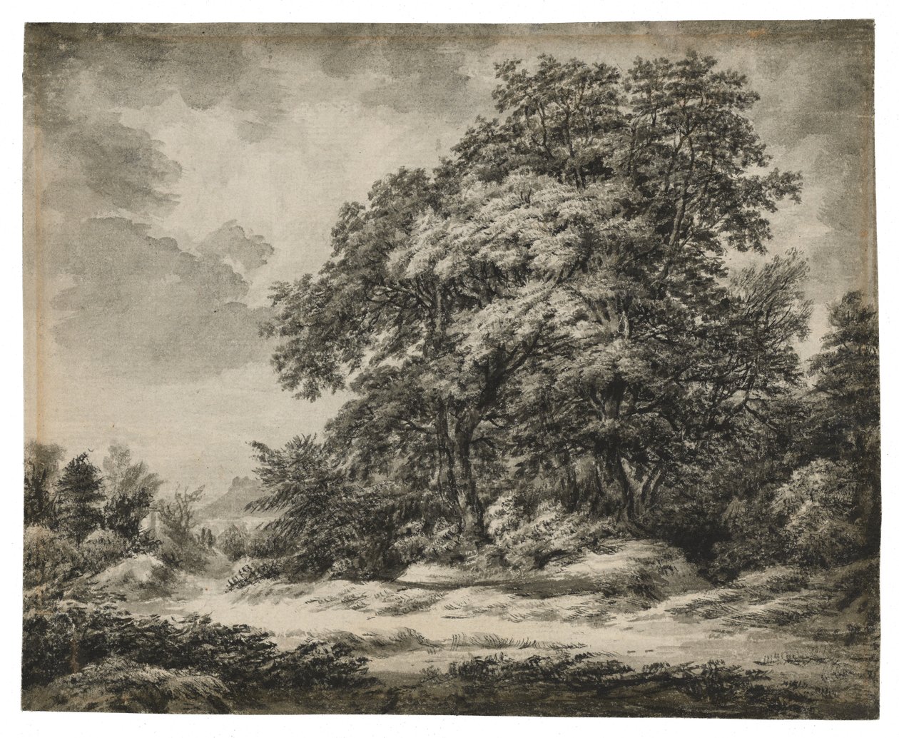 Paisaje Forestal (recto), c. 1838-1848 de Edward Lear