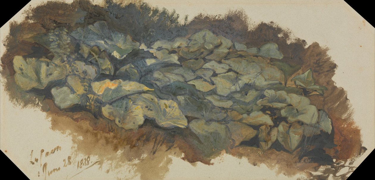 La Cava de Edward Lear