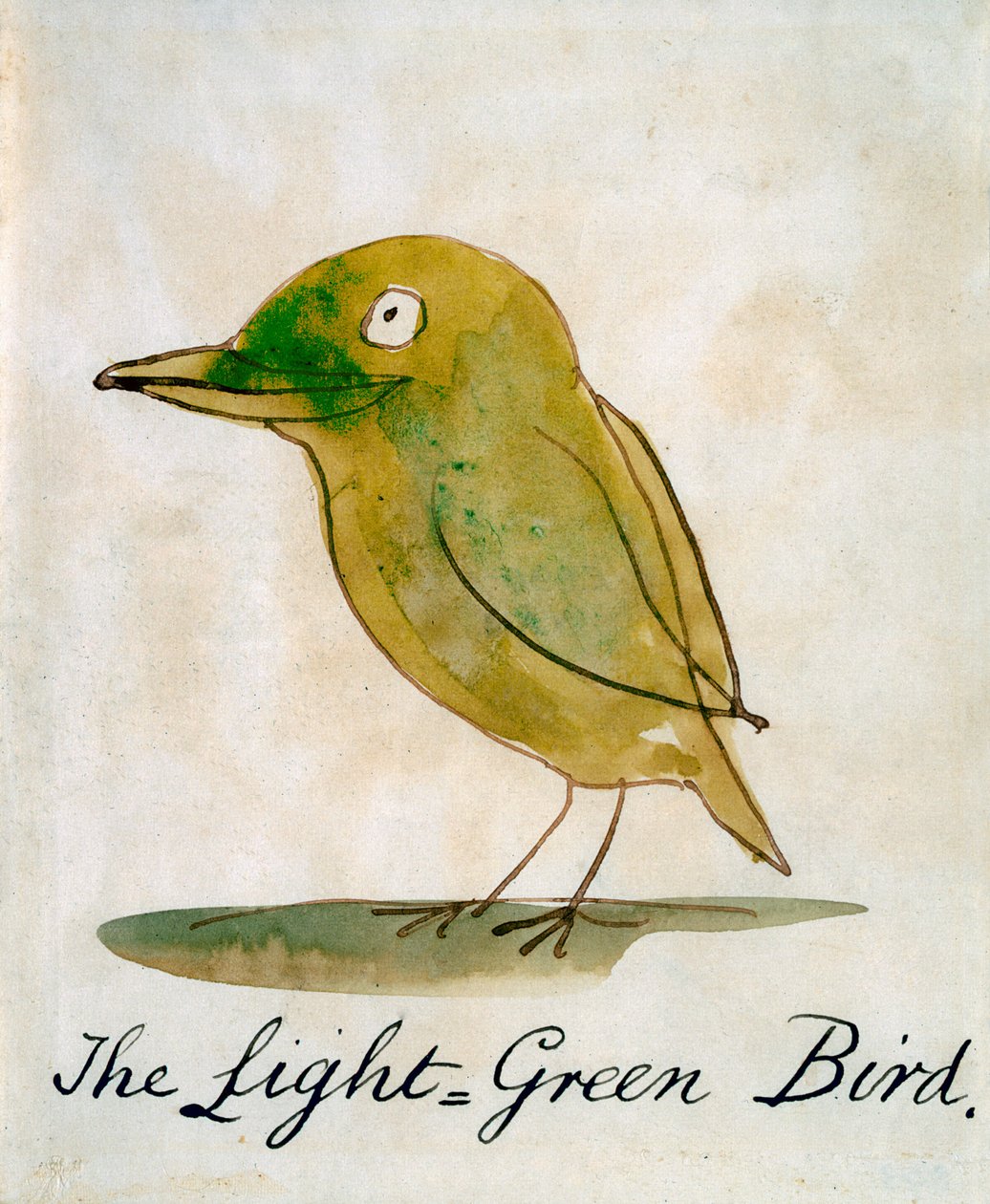 El pájaro verde claro, de 
