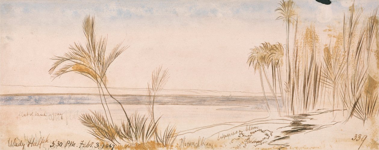 Wady Halfeh de Edward Lear