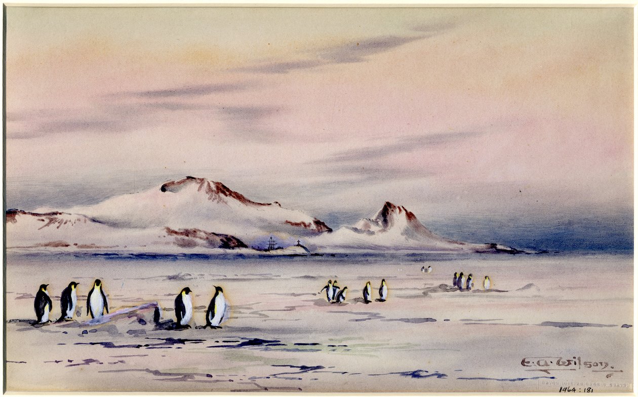 Los cuarteles de invierno del Discovery, c.1901-04 de Edward Adrian Wilson