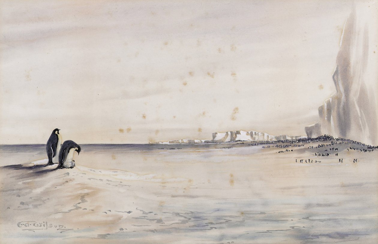 La Colonia de Pingüinos Emperador, Cabo Crozier de Edward Adrian Wilson