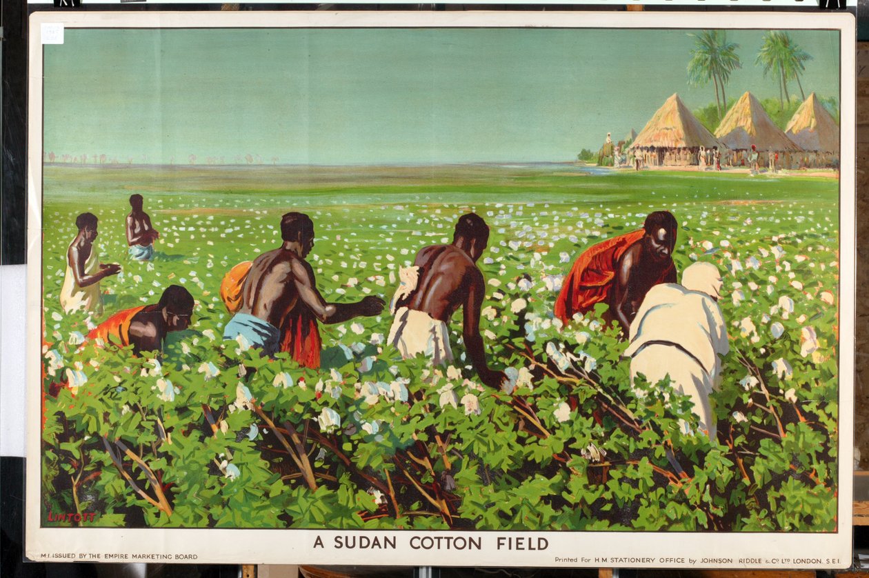 Un campo de algodón sudanés, de la serie "Empire Trade is Growing" (litografía en color) de Edward Barnard Lintott