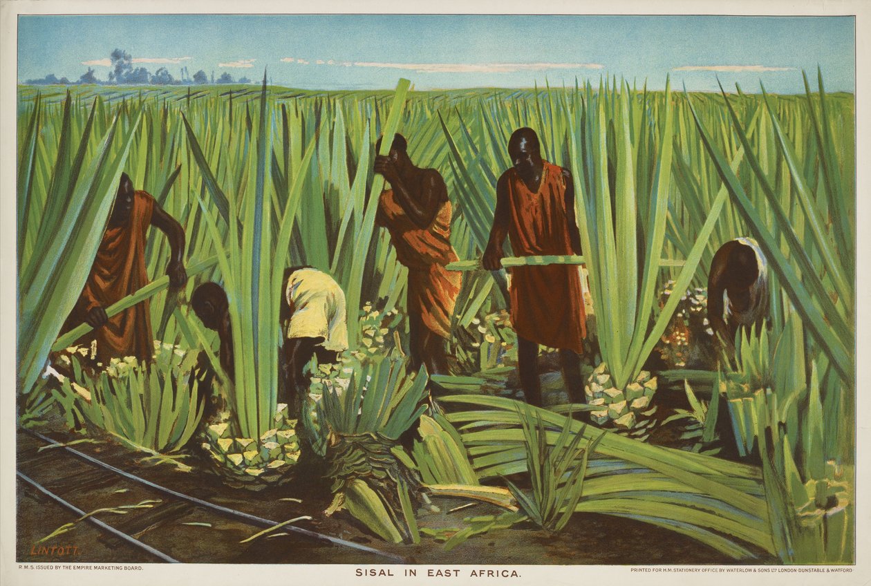 Sisal en África Oriental, de la serie "El comercio del Imperio crece". de Edward Barnard Lintott